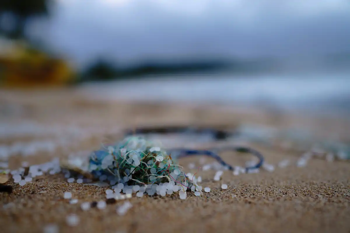 Imagen de microplásticos en la playa